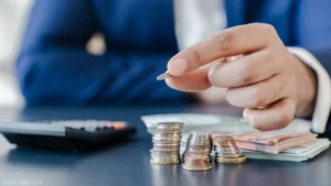 Risk Distribution Strategies Between Different Income Sources