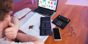 Risk Distribution Strategies Between Different Income Sources